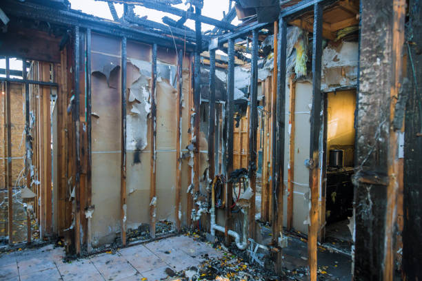 Professional Fire Damage Repair technician working in Palmyra, WI